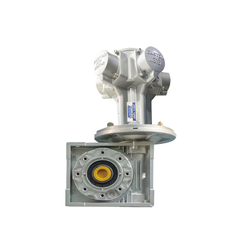 AMP5-RV Getriebemotor mit hohem Drehmoment